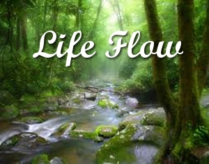 Life-Flow
